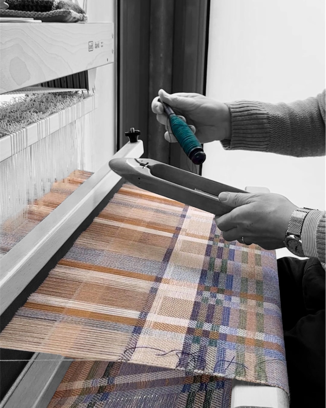 Photoroom_20241108_180351_jpeg